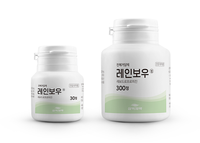 레인보우정